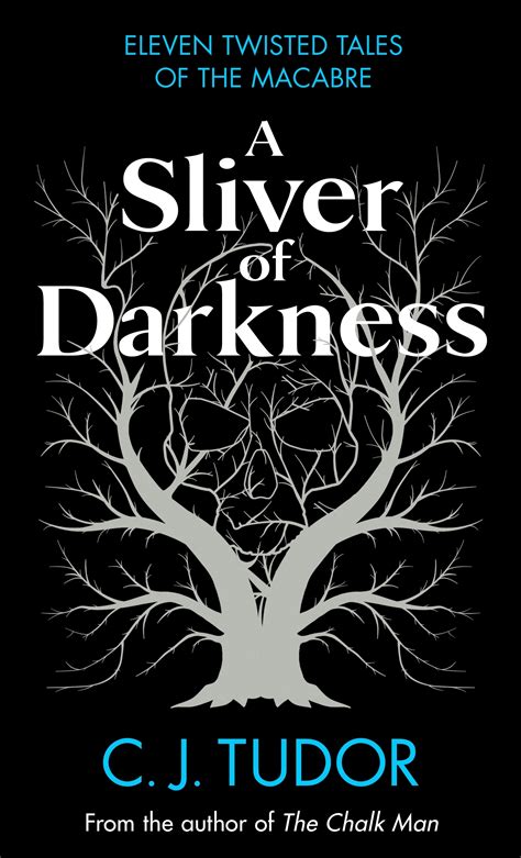 cj tudor a sliver of darkness|a sliver of darkness book review.